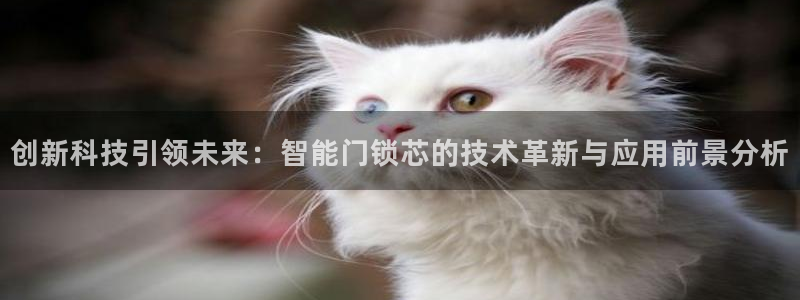 金年会推荐：创新科技引领未来：智能门锁芯的技术革新与应用前景