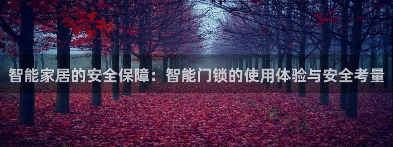 金雅陶瓷年会现场：智能家居的安全保障：智能门锁的使用体验与安