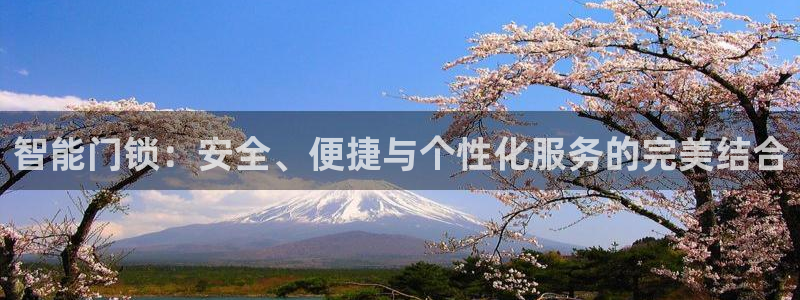 金年会体育：智能门锁：安全、便捷与个性化服务的完美结合