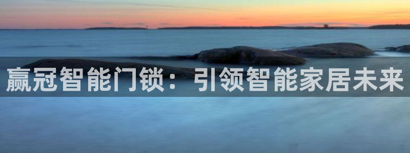 金年会网站：赢冠智能门锁：引领智能家居未来